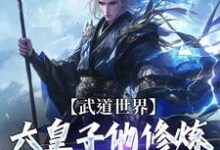 《武道世界：六皇子他修炼修成逆子啦》完整版小说免费阅读-圆圆文学