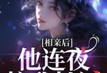 完結版《相親後，他連夜拉我扯證》在線免費閱讀-圓圓文學