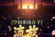 小说《空间系统在手，流放帝王不愁》章节免费阅读-圆圆文学