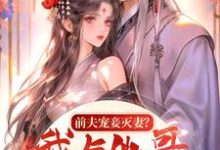 在线寻找前夫宠妾灭妻？我与他哥入帐欢小说的无删减版本-圆圆文学