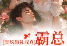 完结版《契约婚礼成真，霸总弱不禁风》在线免费阅读-圆圆文学