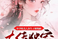 宋星冉轩辕清墨完整版《好孕娇美人靠生子被绝嗣大佬独宠》小说免费阅读-圆圆文学