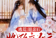 完结版《逃荒：退亲后，她改立女户招赘婿》章节目录在线阅读-圆圆文学