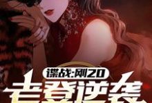 小说完整版《谍战：刚20，老登逆袭什么鬼？》免费阅读-圆圆文学