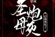 完结版《【末世】穿成圣母炮灰后我黑化了》章节目录在线阅读-圆圆文学