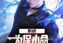 完结版《系统：为保小命，给儿子们全附魔》在线免费阅读-圆圆文学