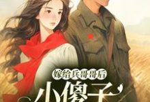 完结版《嫁给兵哥哥后，小傻子她福气满满》免费阅读-圆圆文学