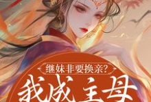 完结版《继妹非要换亲？我成主母她悔哭了》免费阅读-圆圆文学