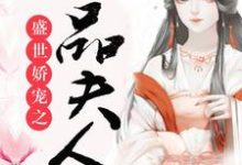 琳琅许远风完整版《盛世娇宠之一品夫人》小说免费阅读-圆圆文学