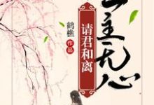 慕容念梅文锦小说免费阅读完整版-圆圆文学