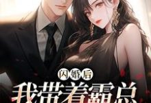 黎漾傅晏辞小说完整版《闪婚后，我带着霸总杀回绿茶家》免费阅读-圆圆文学