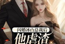 闪婚冰山总裁后，他虐渣玩上瘾了小说无弹窗阅读的网站推荐-圆圆文学