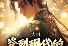 大明：穿到現代的朱元璋玩瘋了朱雄英小說免費閱讀-圓圓文學