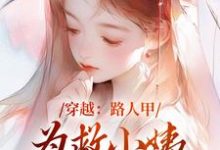 已完結小說《穿越：路人甲為救小姨翻身變女主》最新章節-圓圓文學