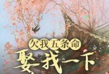 小說《欠我五條命，娶我一下怎麼了？》章節免費閱讀-圓圓文學