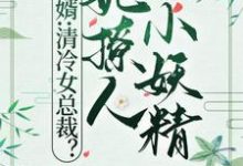 小說完整版《贅婿：清冷女總裁？她撩人小妖精》免費閱讀-圓圓文學