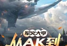 軍火大亨：從ak到星際航母章節免費在線閱讀，江海完結版-圓圓文學