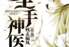 《聖手神醫》小說免費閱讀完整版-圓圓文學