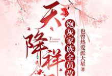 天降祥雲，炮灰家族全員改命完整版小說，天降祥雲，炮灰家族全員改命沈祥雲珩澈-圓圓文學