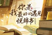 《你，是我最好的遇見》小說姜顏葉圖南章節章節免費在線閱讀-圓圓文學