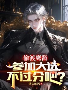 《偷渡鷹醬，參加大選不過分吧？》小說章節列表免費試讀，趙峰小說在線閱讀