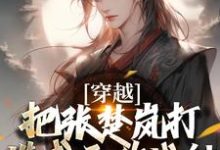 穿越：把張楚嵐打造成無敵戰神方雲，穿越：把張楚嵐打造成無敵戰神在線無彈窗閱讀-圓圓文學