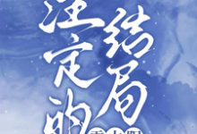 《註定的結局，雪太陽》小說免費閱讀完整版-圓圓文學