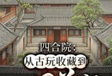 《四合院：從古玩收藏到世界首富》何雨生何雨柱小說免費閱讀完整版-圓圓文學