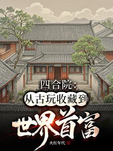 《四合院：從古玩收藏到世界首富》何雨生何雨柱小說免費閱讀完整版