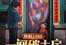 睜眼1988一間破土房倆沒娘娃小說最新更新在哪裡？免費在線看-圓圓文學