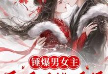 蘇青黛秦鼎完整版《錘爆男女主：醫妃手撕系統撩暴君》小說免費閱讀-圓圓文學