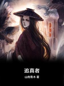 《追真者》褚致雨小說免費閱讀完整版