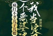 《痛打不孝兒子兒媳，這個惡婆婆我當定了》秦蓉小說免費閱讀完整版-圓圓文學