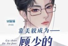 小說《靠美貌成為顧少的私人家教後》章節免費閱讀-圓圓文學