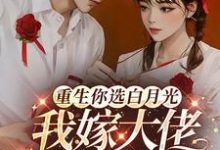 沈清辭趙青雲完整版《重生你選白月光，我嫁大佬你哭啥》小說免費閱讀-圓圓文學