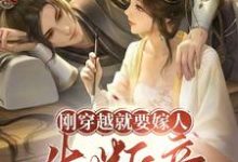 秦思語宋景之小說免費閱讀完整版-圓圓文學