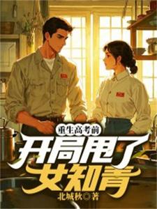 小說《重生高考前，開局甩了女知青》完整版章節免費閱讀